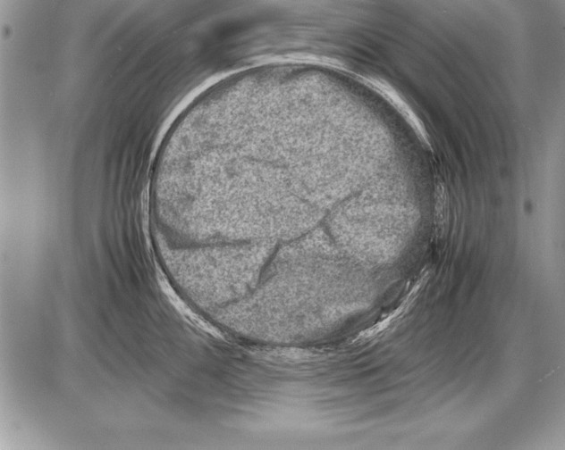 X0000085731100200704131613