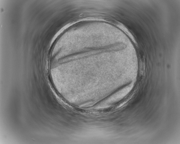 X0000085731101200704131613