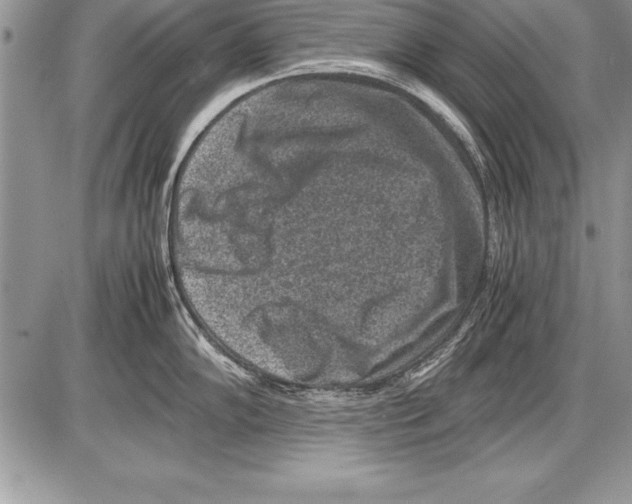 X0000085731102200704131613