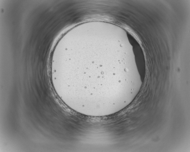 X0000085731104200704131613