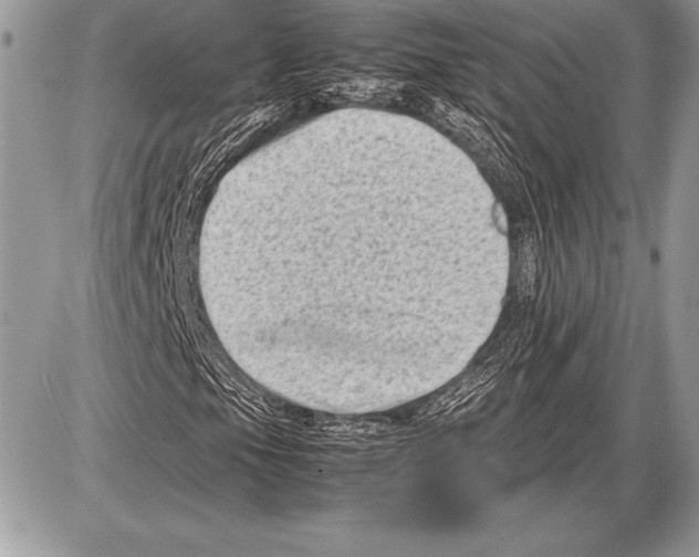 X0000085731105200704131612