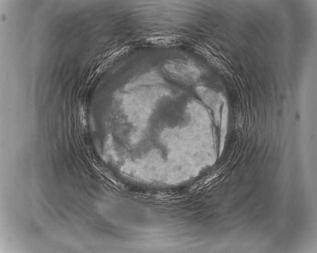 X0000085731106200704131612