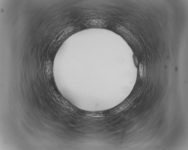 X0000085731107200704131612