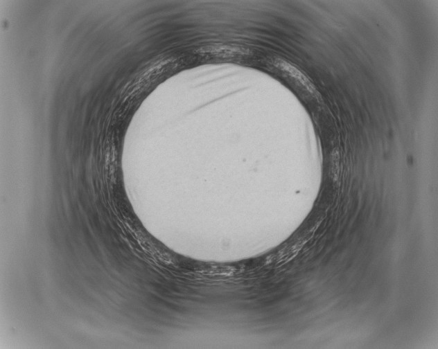 X0000085731111200704131612