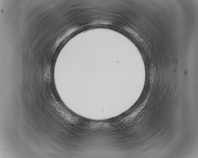 X0000085731113200704131612