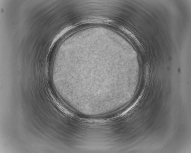 X0000085731114200704131612