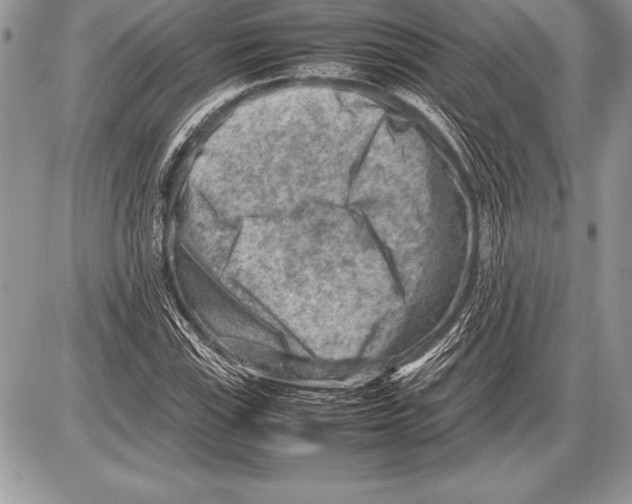 X0000085731115200704131612