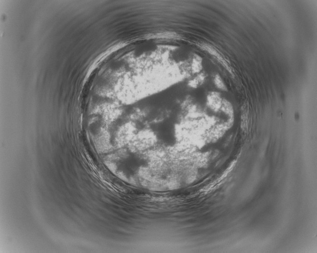 X0000085731117200704131612