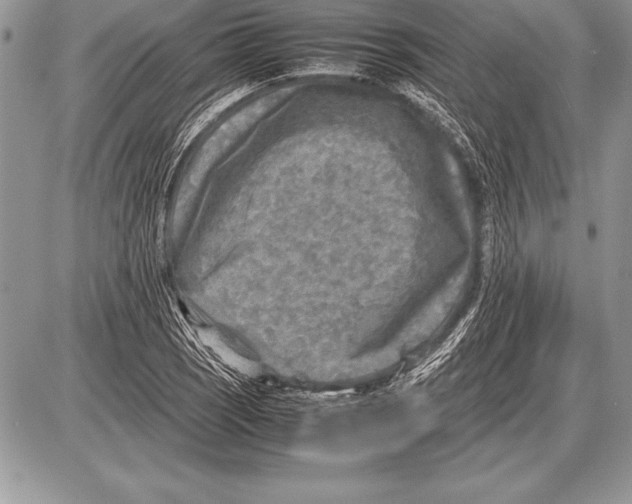 X0000085731121200704131612