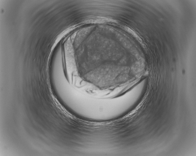 X0000085731122200704131612