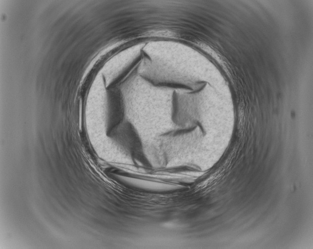 X0000085731123200704131612