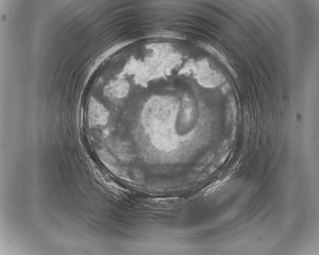 X0000085731125200704131612