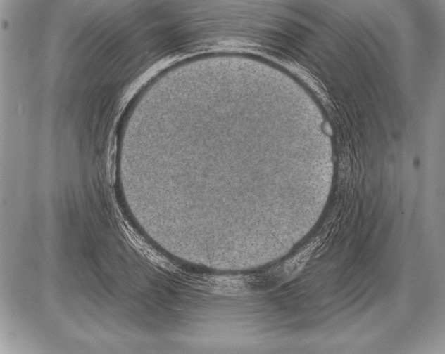 X0000085731126200704131612