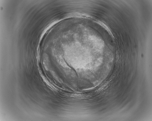 X0000085731128200704131612