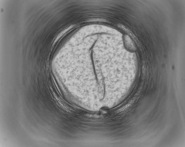 X0000085731129200704131612