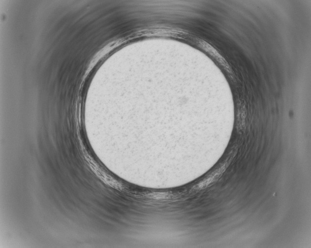 X0000085731130200704131612