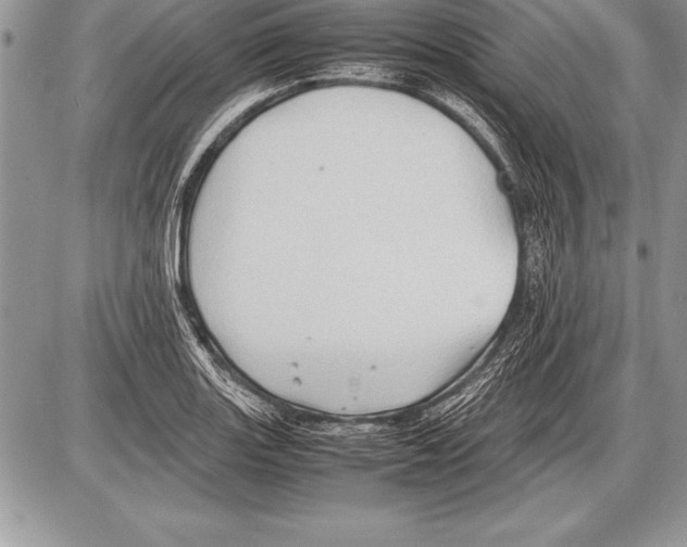 X0000085731131200704131612