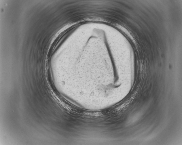 X0000085731133200704131612