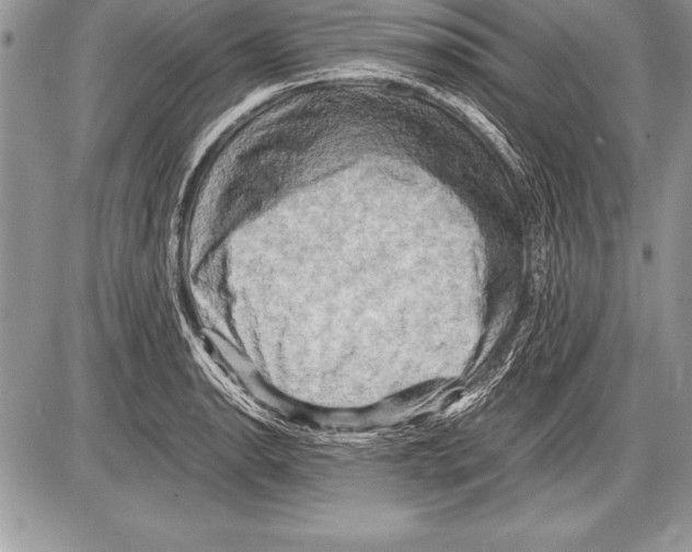 X0000085731134200704131612