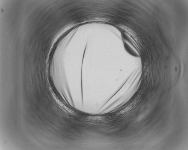 X0000085731135200704131612