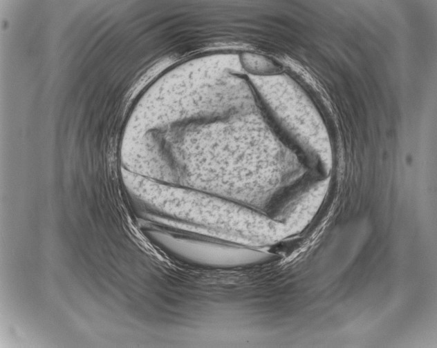 X0000085731137200704131612