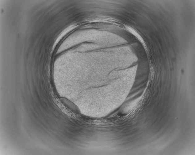 X0000085731138200704131612