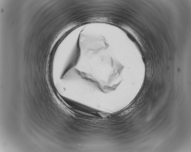 X0000085731139200704131612