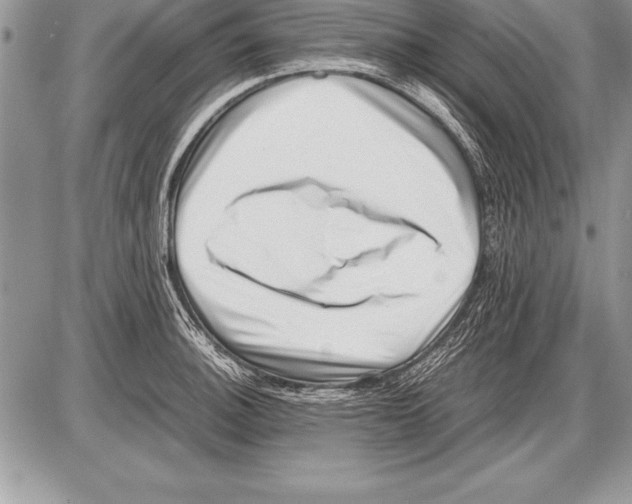 X0000085731140200704131612