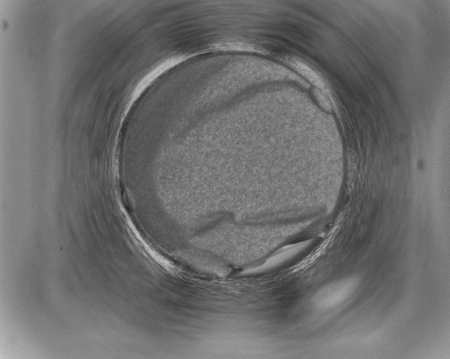 X0000085731141200704131612