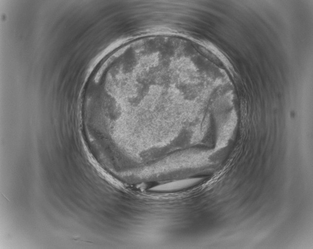 X0000085731142200704131612