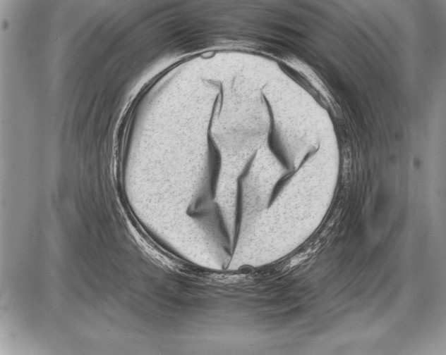 X0000085731143200704131612