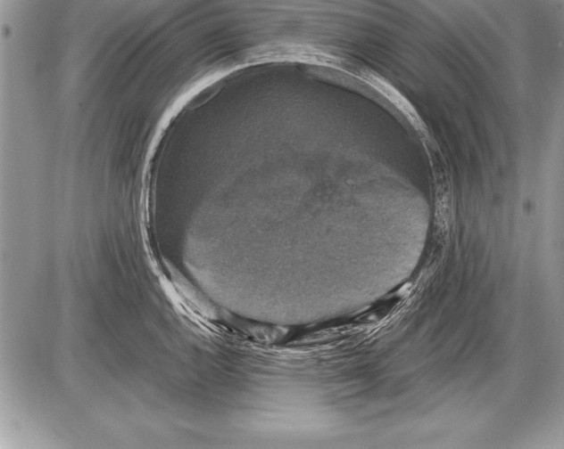 X0000085731144200704131612