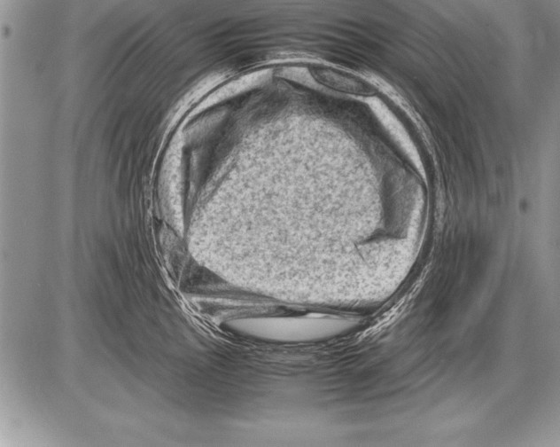 X0000085731145200704131612