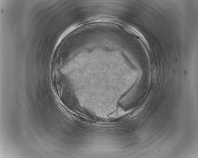 X0000085731146200704131612