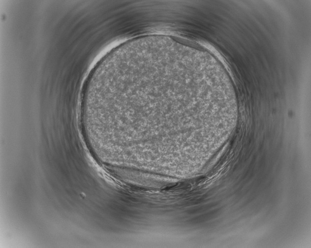 X0000085731147200704131612