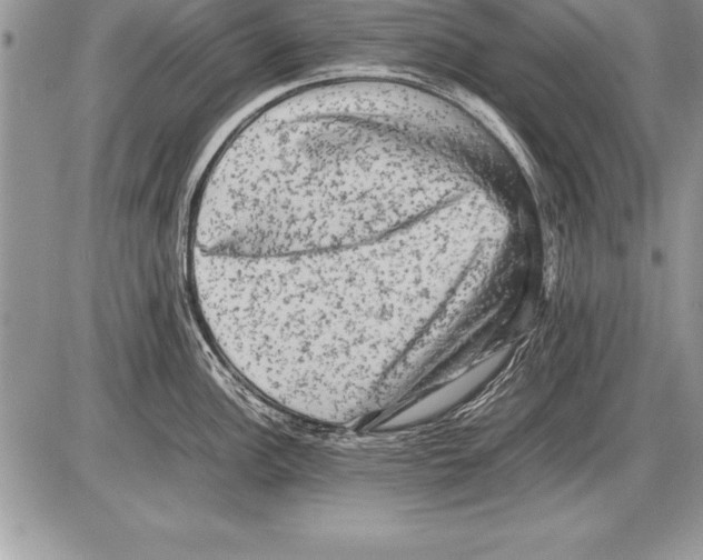 X0000085731148200704131613