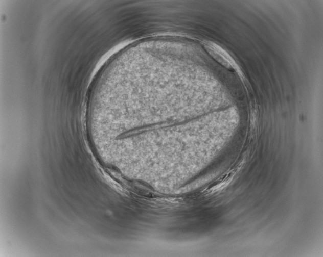 X0000085731149200704131613