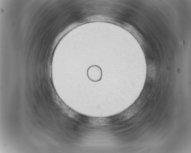 X0000085731150200704131613