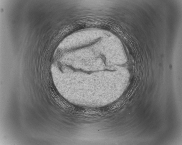 X0000085731153200704131612