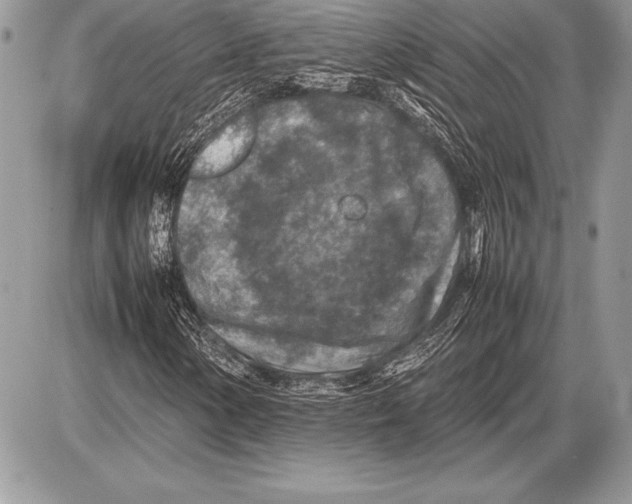 X0000085731154200704131612