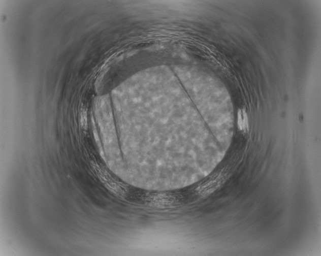 X0000085731155200704131612