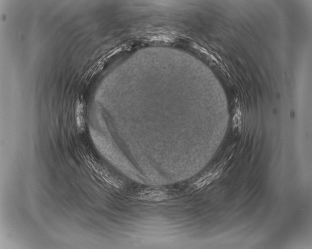 X0000085731156200704131612