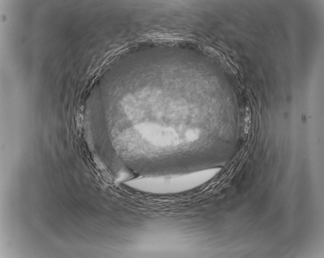 X0000085731157200704131612