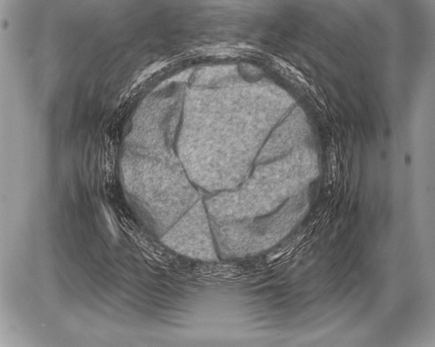 X0000085731158200704131612