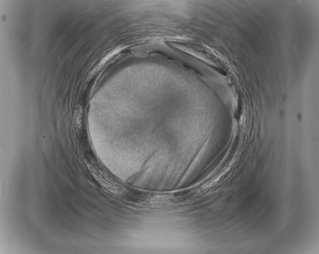 X0000085731161200704131612