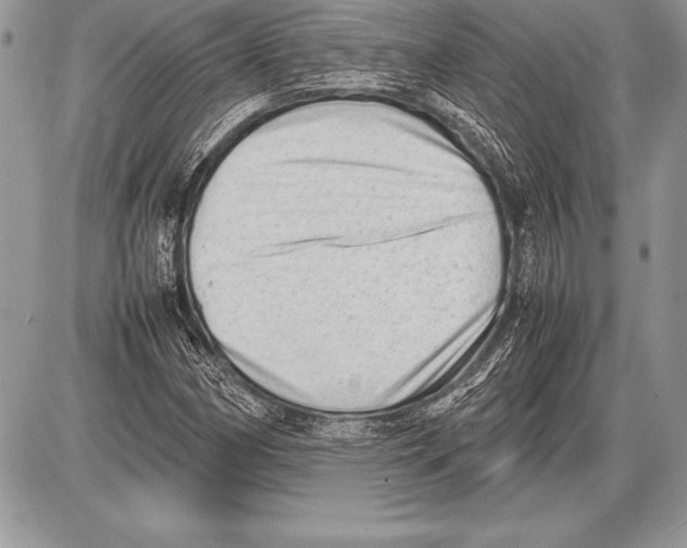 X0000085731162200704131612