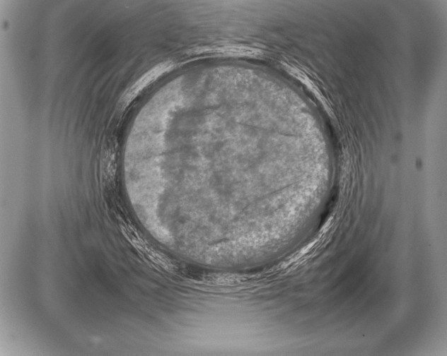 X0000085731163200704131612