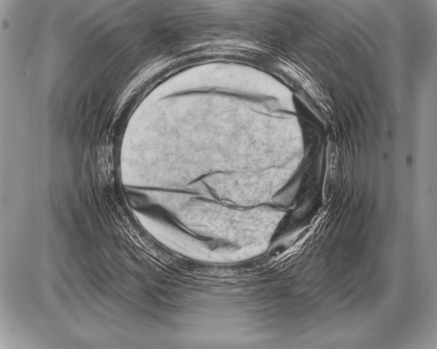 X0000085731164200704131612