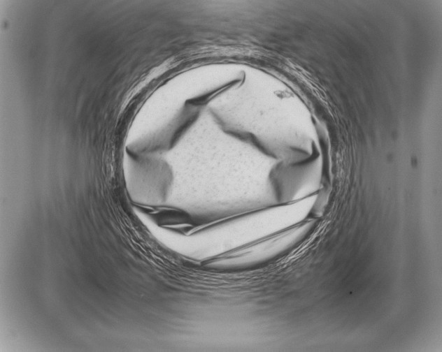 X0000085731165200704131612