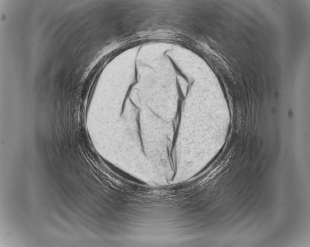 X0000085731166200704131612